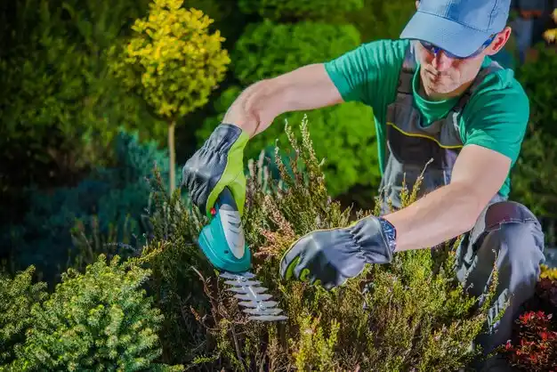 landscaping services Houston
